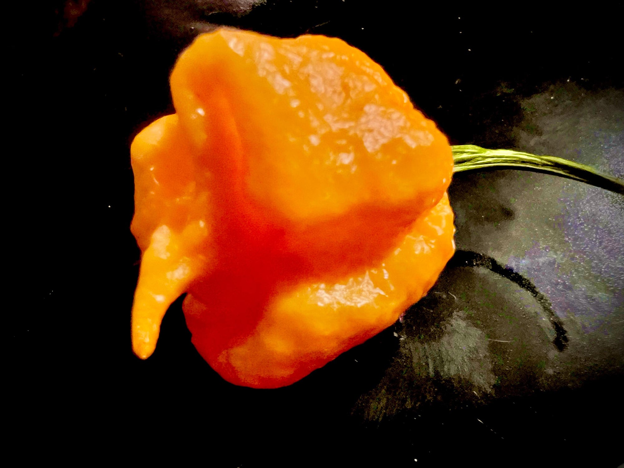 6 Peach Reapers