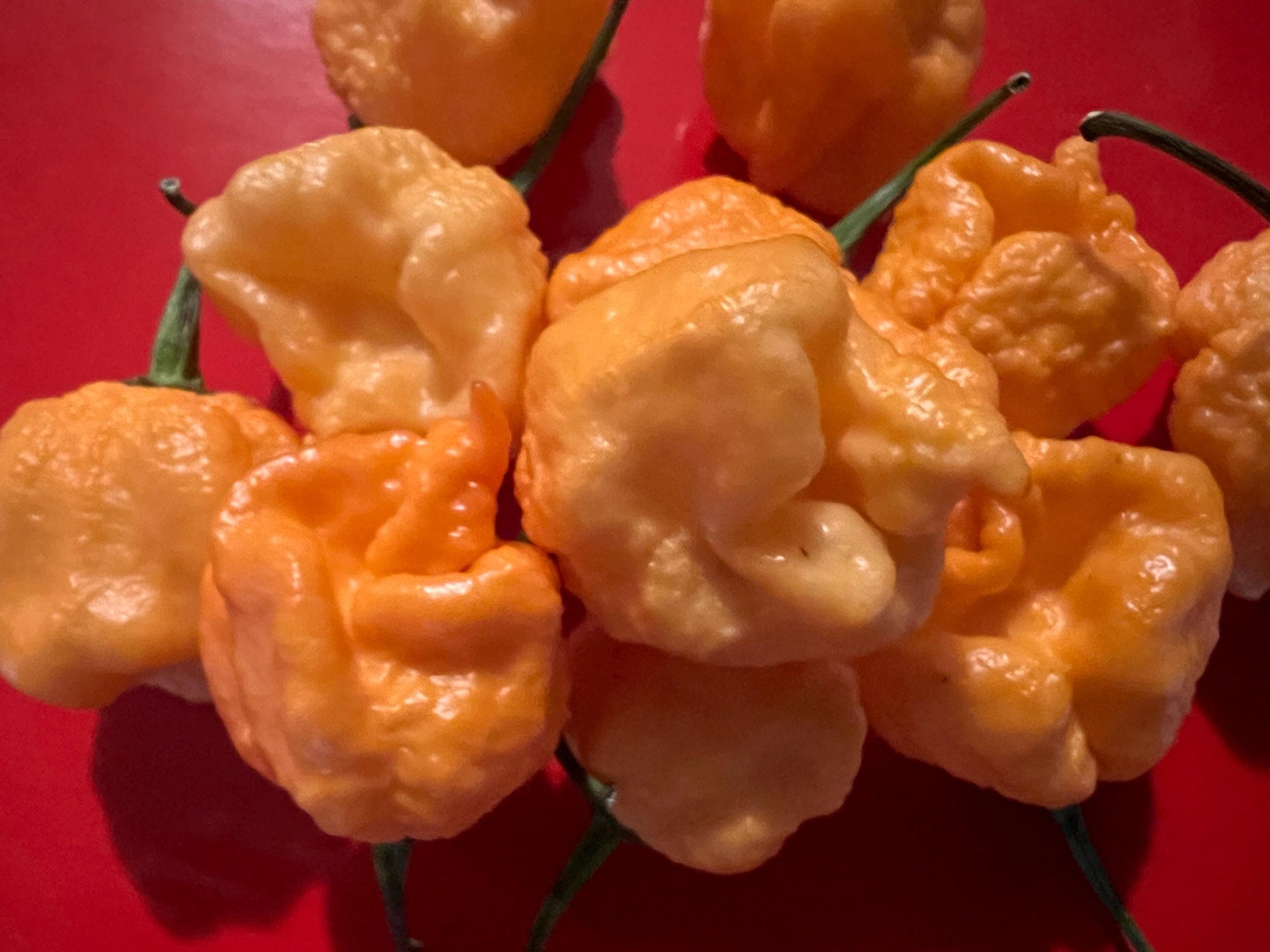 6 Peach Reapers